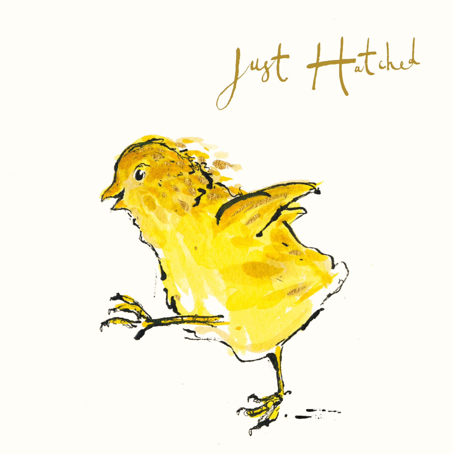 Just Hatched Chick Gold Foil Card – Anna Wright Ltd