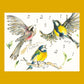 2026 Calendar - Birdsong