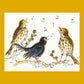 2026 Calendar - Birdsong