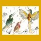 2026 Calendar - Birdsong