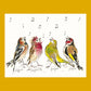 2026 Calendar - Birdsong