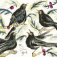 Four Calling Birds Christmas Card (Pack of six)