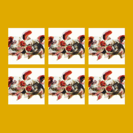 Snuggles Pig Card - Bundle of Six