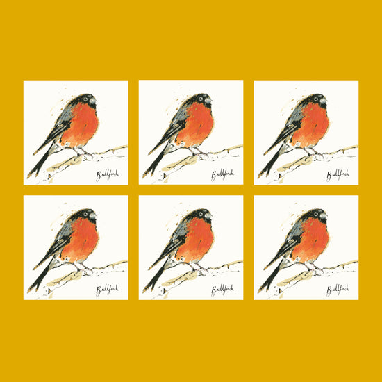 Bullfinch Card - Bundle of Six