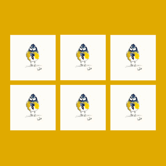 Hello Blue Tit Card - Bundle of Six