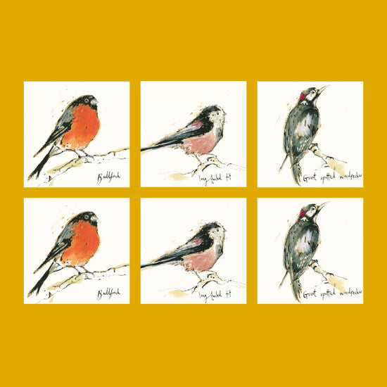 Bird Card - Bundle of Six