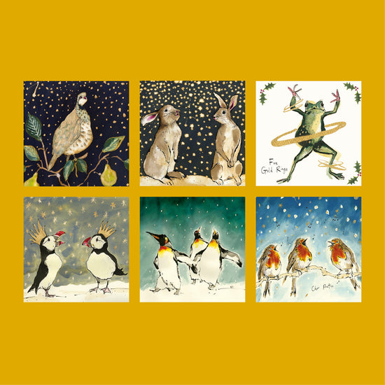 Christmas Card Mix Christmas Card Pack (Pack of six)