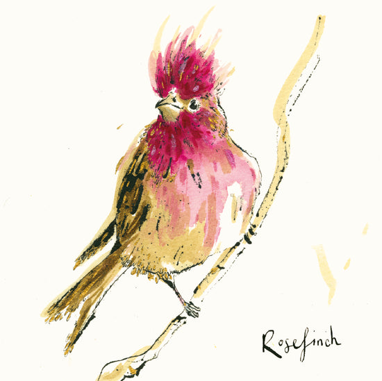 Rosefinch Card