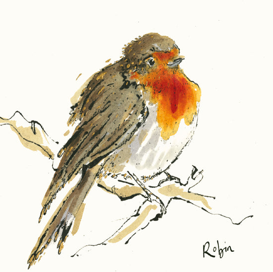 Robin Card