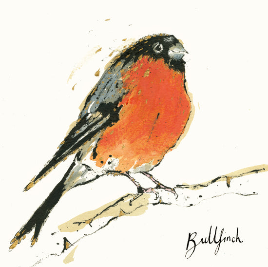 Bullfinch Card