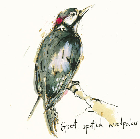 Great Spotted Woodpecker Card