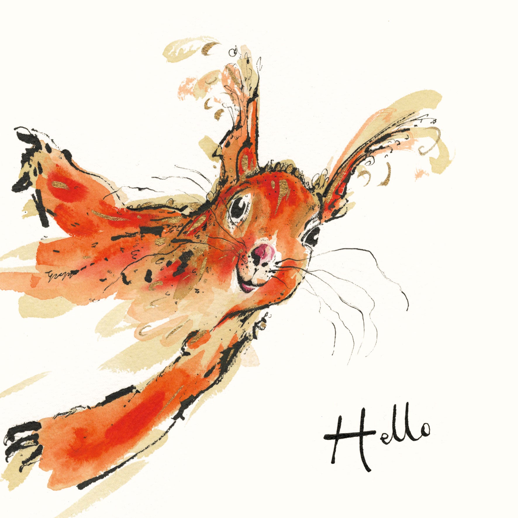 Hello Red Squirrel Card β Anna Wright Ltd