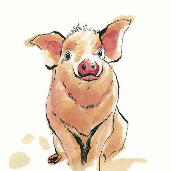 Piggy Pig Card