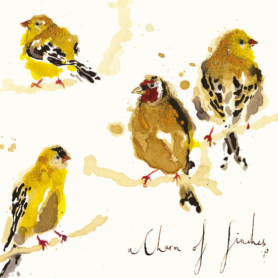 A Charm of Finches Bird Card