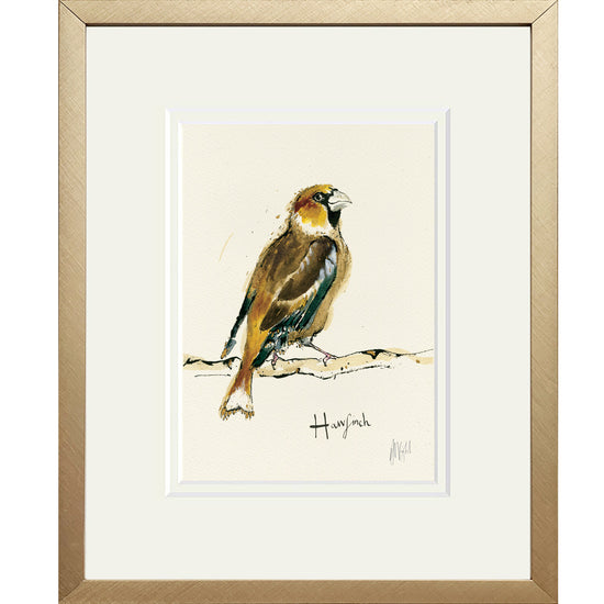 Hawfinch Bird Print