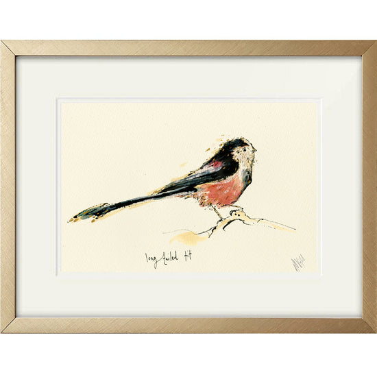 Long Tailed Tit Bird Print