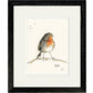 Robin Bird Print