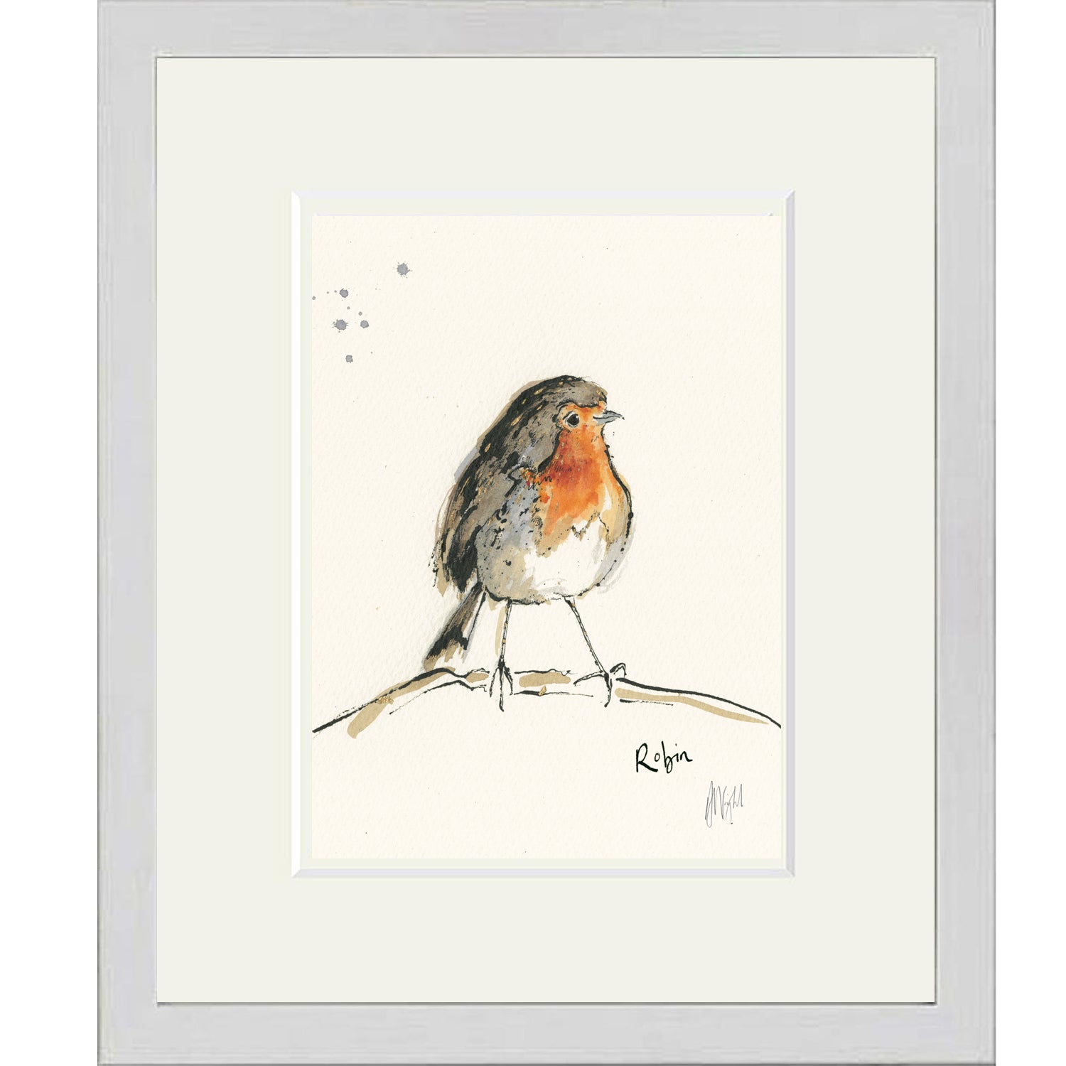 Robin Framed Giclee shops Print