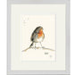 Robin Bird Print