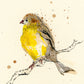 Goldfinch Print