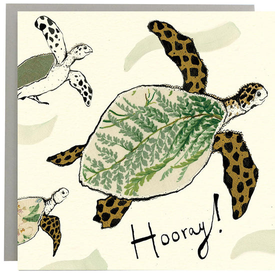 Hooray! Turtle Card