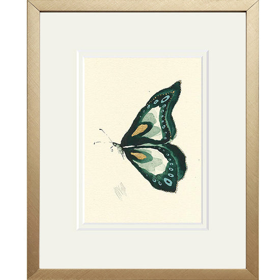 Emerald Butterfly Print