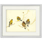 A Charm of Finches Bird Print