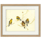 A Charm of Finches Bird Print