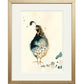 Quail Bird Print